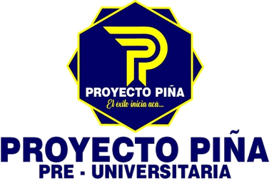 Proyecto Piña